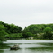 _IMG1955-
