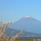 秋の富士山と枯れすすき