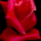 薔薇　その2