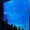 美ら海水族館