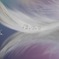 ふわり漂う