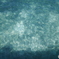 cairns_snap_38