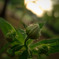 photo_1204957