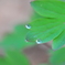 YSP_3633