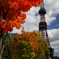 大通公園 紅葉