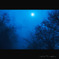 nocturne(ノクターン)
