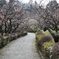 辻村植物公園