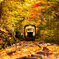 森林鉄道