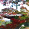 石山寺の秋