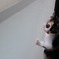 ぺろり。