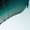 narrow shape