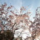 IMG_2011_04_14_00583