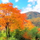 錦秋の開田高原
