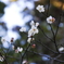 _DSC586918264