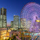 YOKOHAMA NIGHT VIEWS