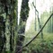 photo_1207075