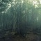 photo_1207076