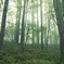 photo_1207077