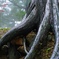 大地に根をはる