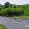 IMGP3154