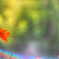 秋に映える２