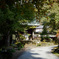 DSC00303