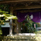 DSC00308