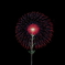一輪の花