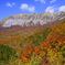 大山鍵掛峠紅葉