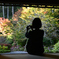 いいの撮れてますか？　近江孤篷庵　紅葉