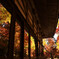 紅葉に囲まれて