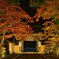 深まる秋～金剛峯寺