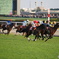 競馬場