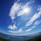 夏の陽よ・・・