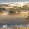 Morning light