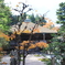 高野山の紅葉2