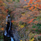紅葉の大滝