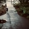雨の学校帰り