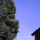 ひこうき雲