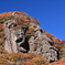 くじゅう紅葉Ⅳ