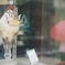 雨のチョコレートパフェ ￥780(film)