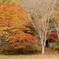 廃校にて