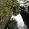 柳川 川下り