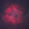 IC1396