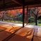 慈恩禅寺　てっ草園
