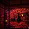 紅く染まる寺