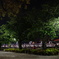 隅田川公園の夜