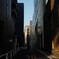 Tokyo Snap 