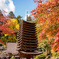 談山神社の紅葉
