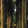 長野散歩1(長野)